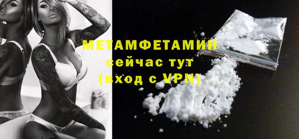 шишки Карпинск