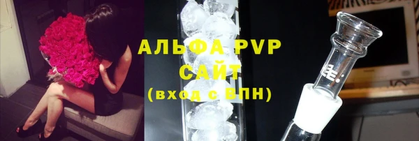 шишки Карпинск