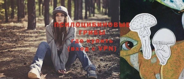 спиды Касимов