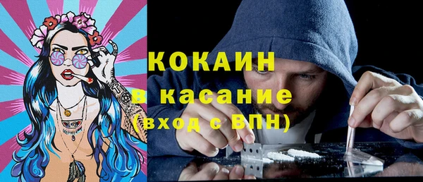 шишки Карпинск