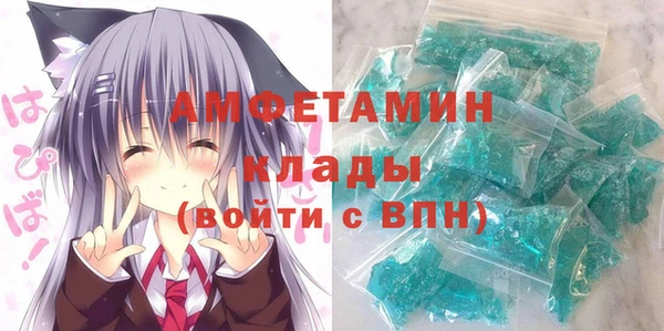 шишки Карпинск