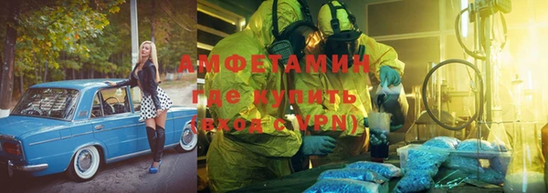 шишки Карпинск