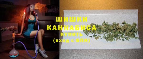 шишки Карпинск