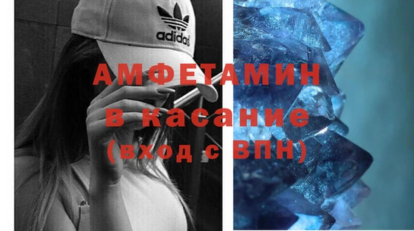 шишки Карпинск