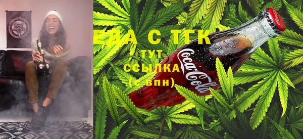 шишки Карпинск