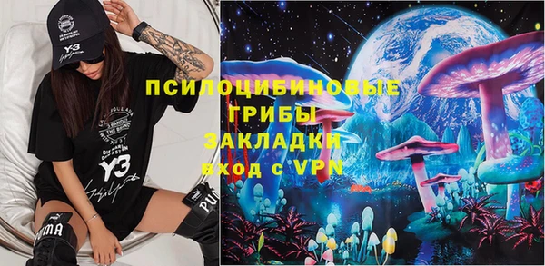 шишки Карпинск