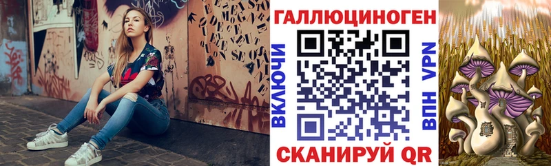 Псилоцибиновые грибы MAGIC MUSHROOMS  мега ТОР  Медвежьегорск 